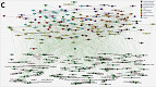 FlavorGraph é o sistema da Sony que utiliza IA para harmonizar ingredientes