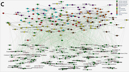 FlavorGraph é o sistema da Sony que utiliza IA para harmonizar ingredientes