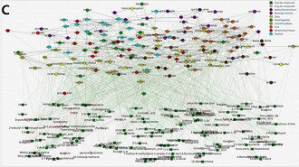 Visão geral do FlavorGraph, uma rede gráfica em grande escala dos alimentos e compostos químicos. Fonte: Sony