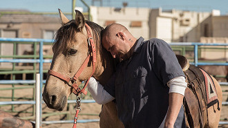 Séries famosas e suas temporadas representadas em cavalos meme : u