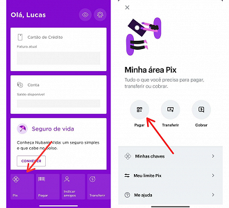 Acesse a área PIX vá até