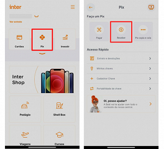 Acesse a área do seu PIX. (Foto: Printscreen por Lucas Ribeiro).
