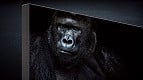 MicroLED vs OLED: Qual é a melhor? MicroLED vs OLED: Qual é a melhor?
