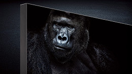 MicroLED vs OLED: Qual é a melhor? MicroLED vs OLED: Qual é a melhor?