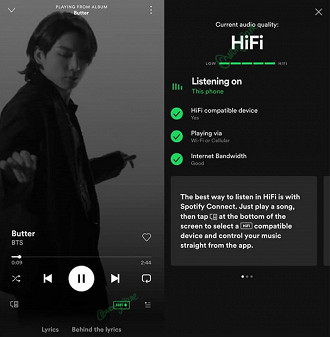 Captura de tela do Spotify. Fonte: Jade Manchun Wong (Twitter)