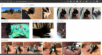 Imagem: Google Fotos.