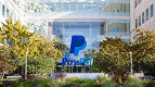 Reino Unido já pode usar o Paypal para realizar transações usando Bitcoin e criptomoedas Reino Unido já pode usar o Paypal para realizar transações usando Bitcoin e criptomoedas