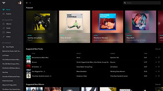 Tidal. (Crédito: Tidal/Reprodução)