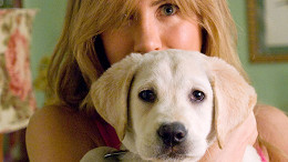 6 filmes da Netflix para ver e rever de tão fofos