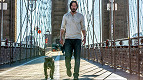 8 filmes da Netflix que bombaram em 2022 e você não viu 8 filmes da Netflix que bombaram em 2022 e você não viu