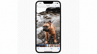 Será possível copiar um item especifico da imagem e transformá-lo numa figurinha (Crédito: Apple/Reprodução)