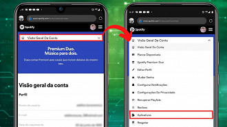 Toque em Visão Geral da Conta e depois acesse os Aplicativos (Foto: Reporodução/Adalton Bonaventura)