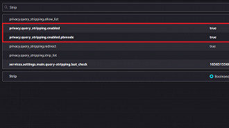 Passo 06 - Como ativar o recurso de remoção de parâmetros de rastreamento de URLs no Firefox 102. Fonte: Vitor Valeri