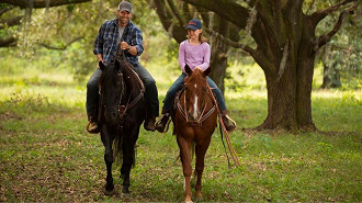 Linha de Frente (2013), Gary Fleder (Crédito: Netflix/Reprodução)
