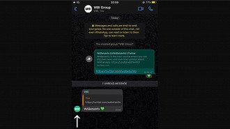 Captura de tela de bate-papo em grupo no WhatsApp com imagens de perfil sendo exibidas. Fonte: WABetaInfo