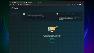 Recurso Wallet (Carteira) no navegador Microsoft Edge. Fonte: Microsoft