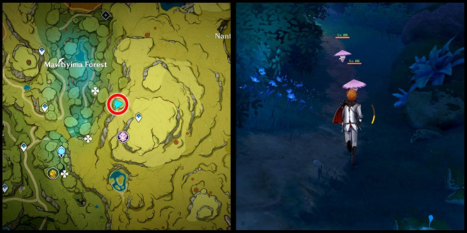 [Genshin Impact 3.0] Como obter o baú luxuoso da Selva Lokapala em Sumeru