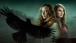 4 séries policiais na NETFLIX para maratonar nessa semana