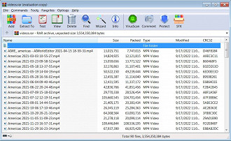 Captura de tela do arquivo RAR que continha 90 vídeos roubados. Fonte: bleepingcomputer