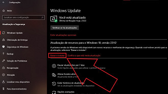 Passo 05 - Como baixar a atualização do Windows 10 22H2 agora. Fonte: Vitor Valeri