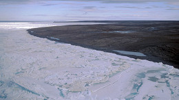 Vírus com quase 50 mil anos são descongelados e ainda são infecciosos Vírus com quase 50 mil anos são descongelados e ainda são infecciosos