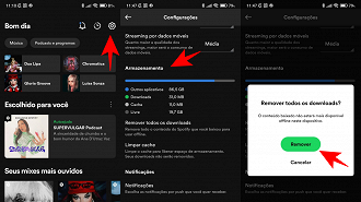 Como remover as músicas baixas no Spotify.