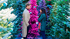 4 filmes novos da Netflix para entrar no clima de Natal em 2022