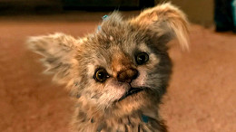 Meu Amigo Lutcha chega na Netflix; um filme para a família toda assistir