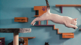 10 filmes incríveis da Netflix sobre animais que vão encantar toda a família