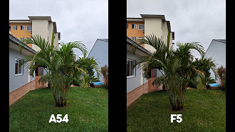 Foto diurna Foto diurna