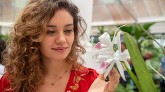 Todas as Flores (Globoplay) Todas as Flores (Globoplay)