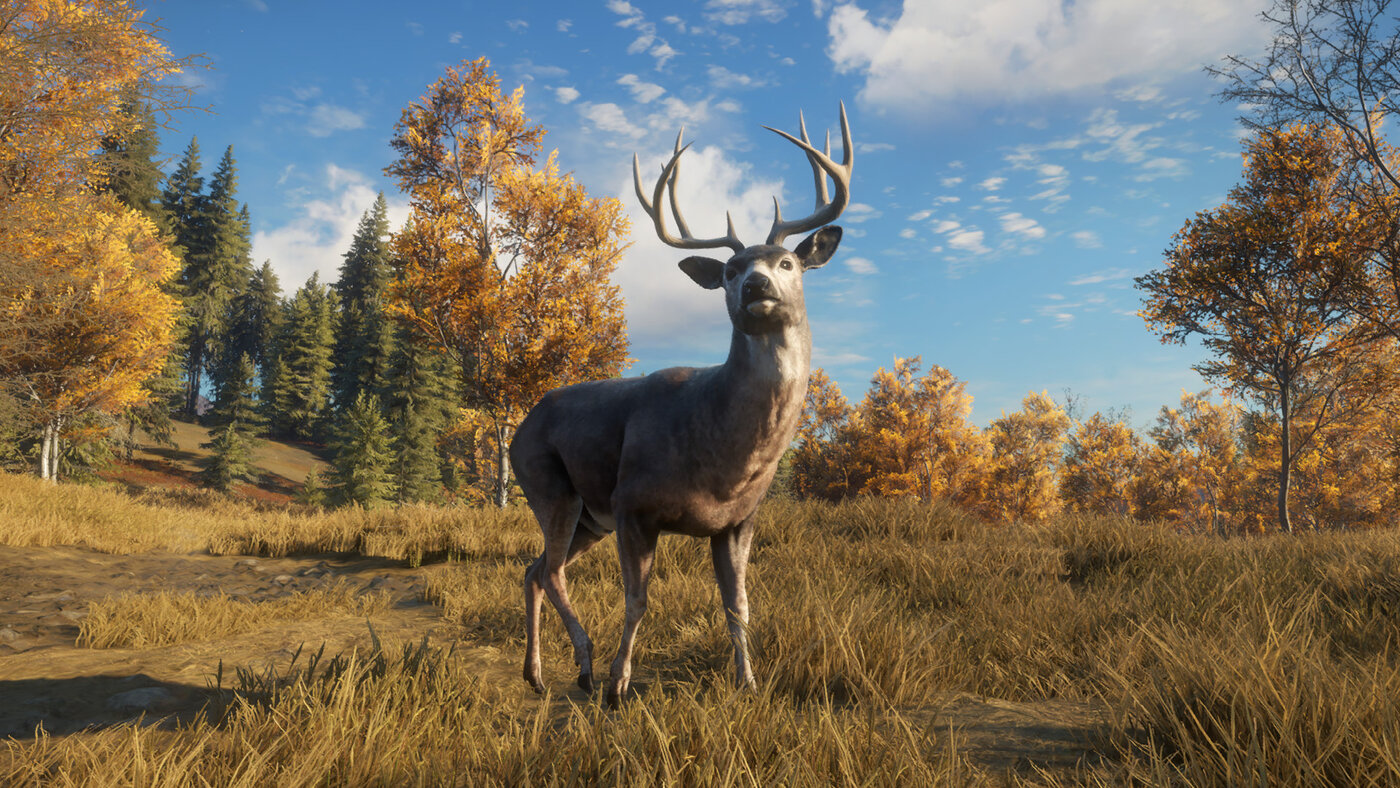 The Hunter: Call of the Wild é o jogo gratuito da semana na Epic Games Store