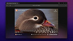 Navegador DuckDuckGo para Windows está disponível para todos na versão beta