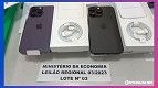 Leilão da Receita Federal (com lances até dia 5) tem iPhone 14 Pro Max à partir de R$ 1.550