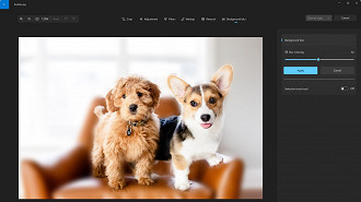 Recurso de desfoque de fundo de imagens chega ao aplicativo Fotos para Windows. Fonte: Microsoft