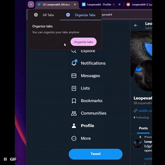 Captura de tela do recurso organizar guias do Google Chrome. Fonte: X (@Leopeva64)