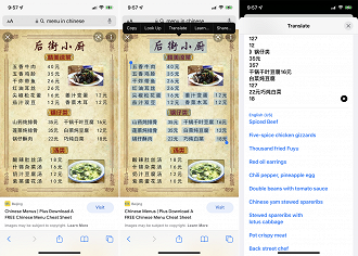 Tradução de um menu em chinês com o Live Text