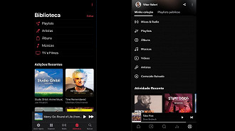 Exibição dos álbuns, artistas e playlists de cada serviço - Apple Music a esquerda e Tidal a direita.