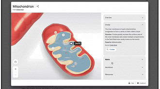 Captura de tela demonstrando a pesquisa de modelos 3D relacionados às definições e visões gerais de biologia, química, física, astronomia e mais. Fonte: Google