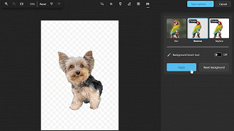 Aplicativo Fotos do Windows ganha diversos recursos, incluindo o de remoção de fundo. Fonte: Microsoft