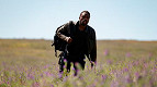 Os 5 filmes mais assistidos na Netflix e que você não pode perder nessa semana Os 5 filmes mais assistidos na Netflix e que você não pode perder nessa semana