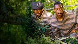 Esse filme de comédia com Eddie Murphy está no catálogo da NETFLIX e talvez você queira rever Esse filme de comédia com Eddie Murphy está no catálogo da NETFLIX e talvez você queira rever
