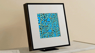 Elevate Your Space: Samsung’s Music Frame Unites Art and Music in Perfect Harmony, Now Half Off Elevate Your Space: Samsung’s Music Frame Unites Art and Music in Perfect Harmony, Now Half Off