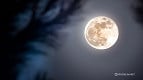 Qual a fase da Lua hoje: 22 de novembro de 2024 Qual a fase da Lua hoje: 22 de novembro de 2024