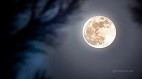 Qual a fase da Lua hoje: 17 de dezembro de 2024 Qual a fase da Lua hoje: 17 de dezembro de 2024