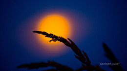 Superlua, eclipse e chuva de meteoros: veja o calendário com os eventos de 2025 Superlua, eclipse e chuva de meteoros: veja o calendário com os eventos de 2025