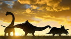 Cientistas podem ter descoberto a origem dos dinossauros Cientistas podem ter descoberto a origem dos dinossauros
