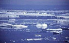 Derretimento de geleiras aumenta 10% do nível do mar Derretimento de geleiras aumenta 10% do nível do mar