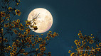 Lua hoje: qual a fase lunar deste domingo, 13 de abril de 2025 Lua hoje: qual a fase lunar deste domingo, 13 de abril de 2025