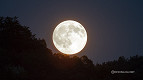 Lua muda de fase hoje, 12 de maio de 2025; veja qual Lua muda de fase hoje, 12 de maio de 2025; veja qual